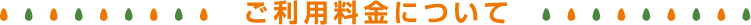 ご利用料金について